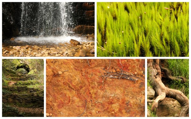 2013-09-28 Waterfall Gully and Henley Beach1