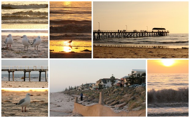 2013-09-28 Waterfall Gully and Henley Beach2