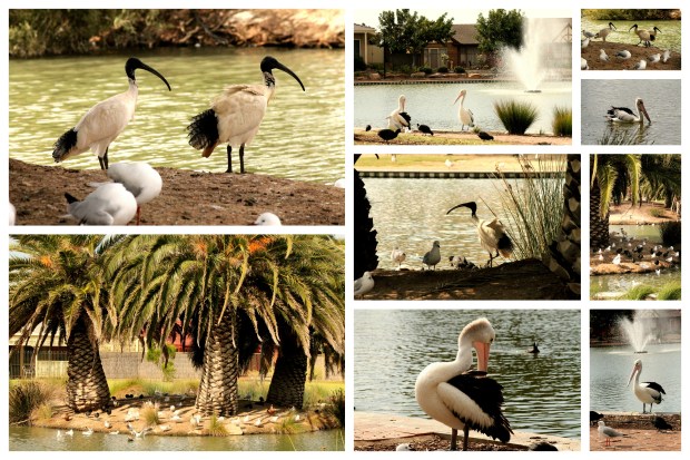 2013-11 Matk põhja1