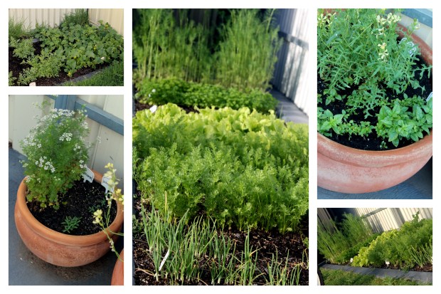 2013-12-08 Piparkoogid ja muu1