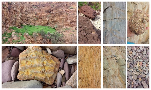 2014-06-09 Ellu jalutuskäik rannas