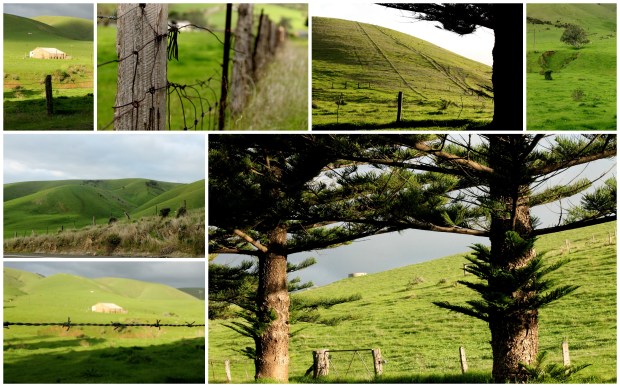 2014-06-14 Rapid Bay1