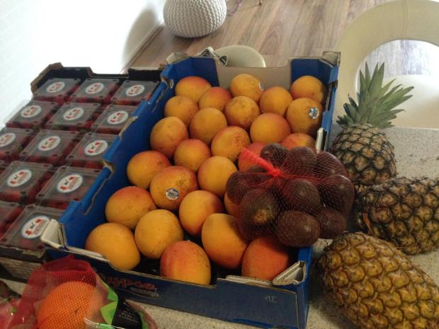 12698759_1141803599171710_477488008_o